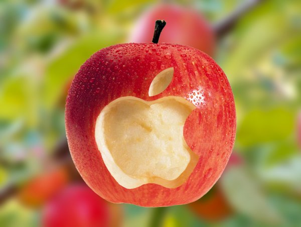 День яблока в Англии