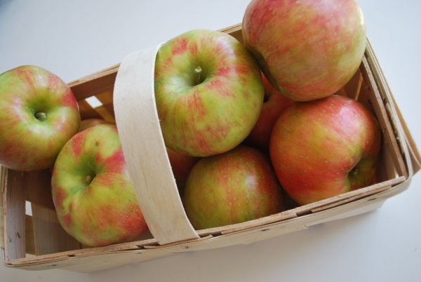 День яблока