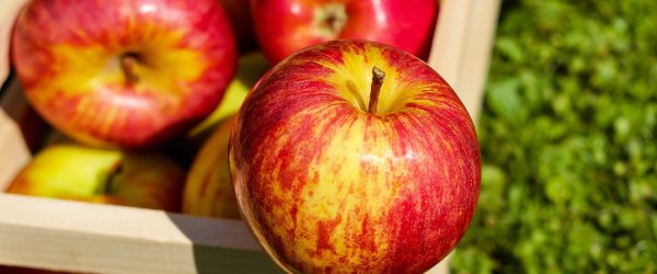 Идеальное яблоко