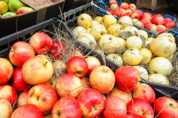 Всемирный день яблок