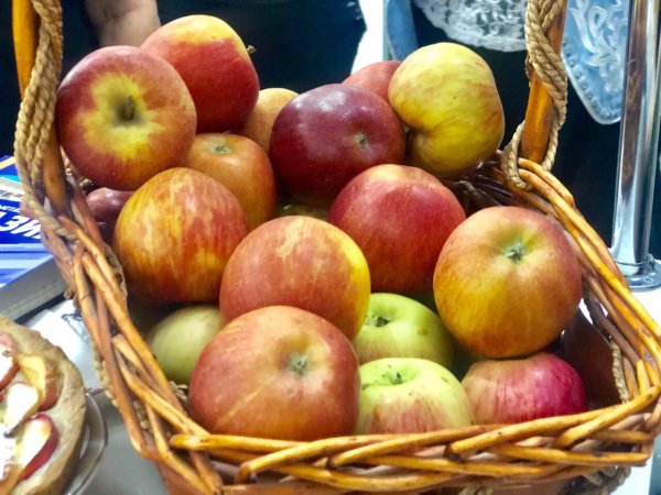 День яблока