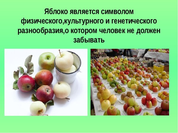 21 Октября день яблока