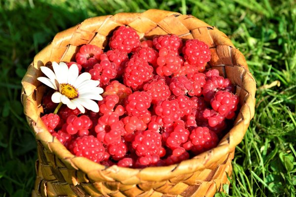 Ягода малина варенье