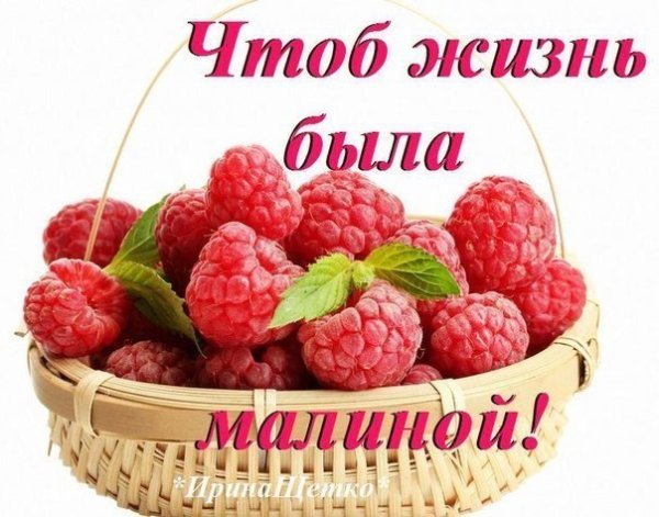 ,С днем рождения ЗМАЛИНА