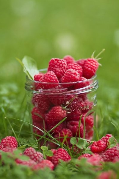 Малиновое настроение