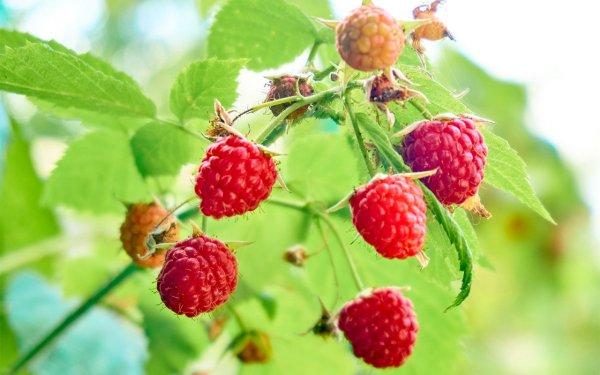 С днём рождения мальнка