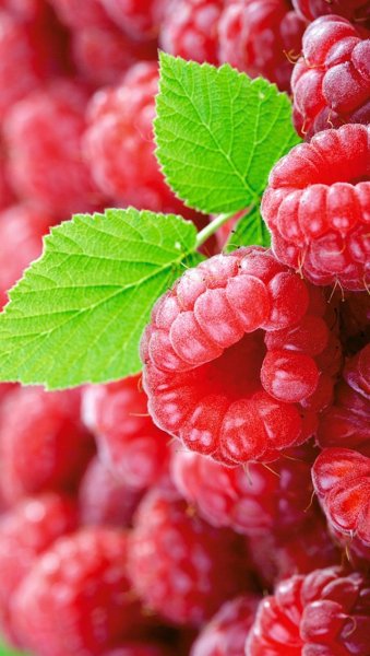 С днем рождения малина