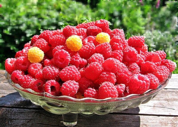 Доброе утро Ягодка моя