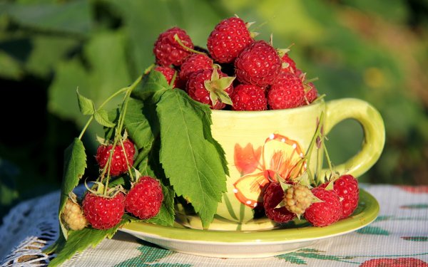 Малина сладкая Малвина