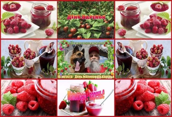 Малина это травянистое растение