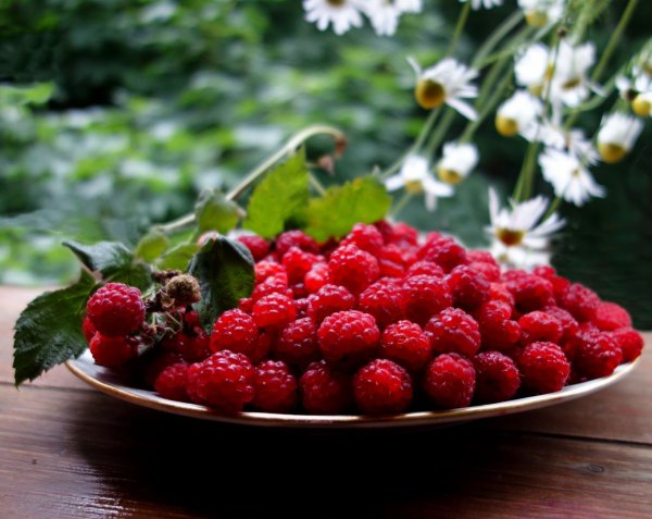 День варенья