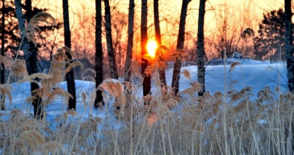 Лаврентьев день