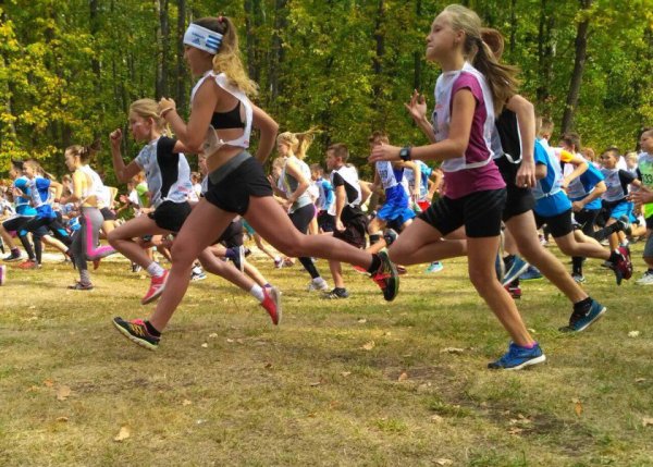 Беговые кроссы