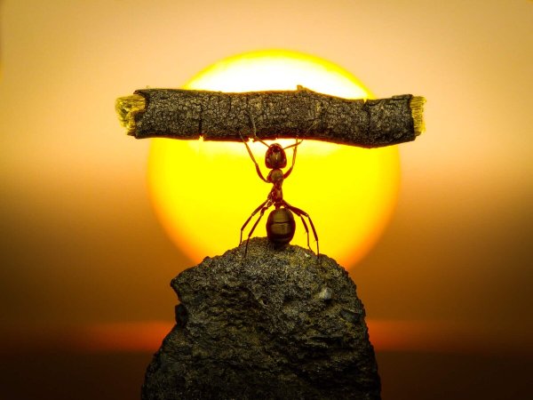 Запомни правило трёх н нет ничего невозможного