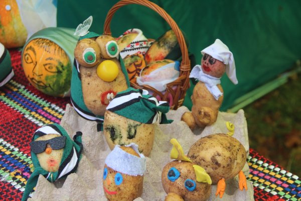 Фестиваль картошки