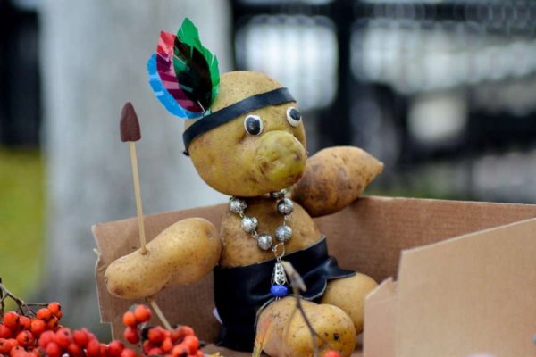 Праздник картошки