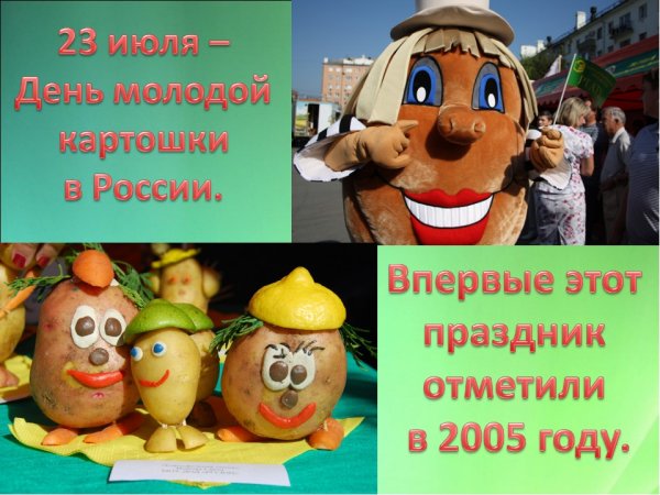 С днем картошки
