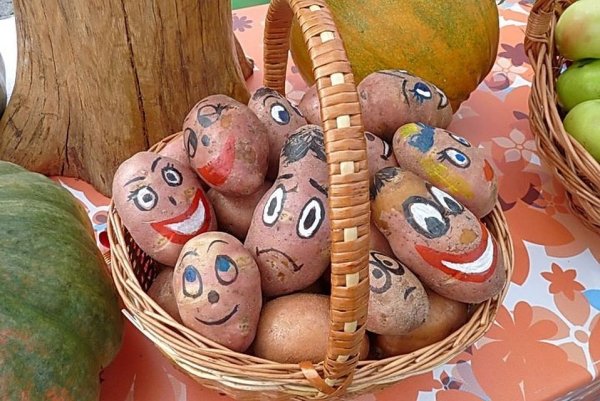 Фестиваль картошки