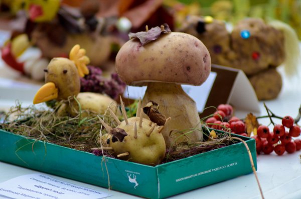 Праздник картошки