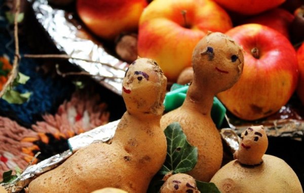 Фестиваль картофеля