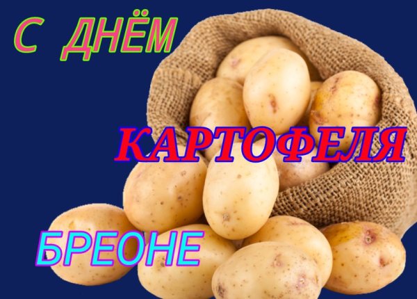 Международный день картофеля