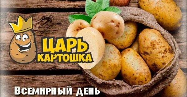 День картофеля