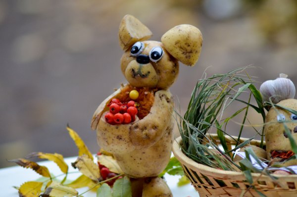 День картофеля