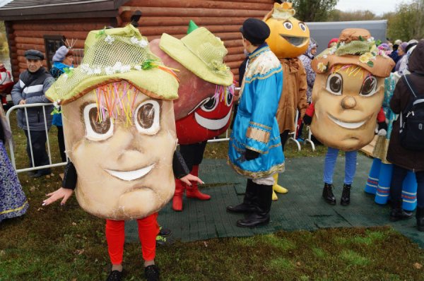 Поделка картошка на конкурс