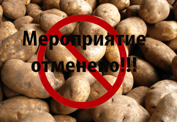 Международный день картофеля