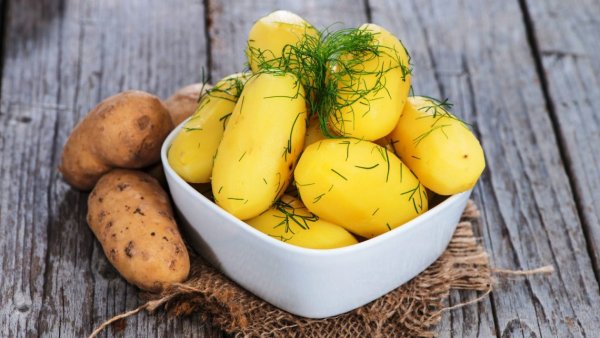 Праздник картошки