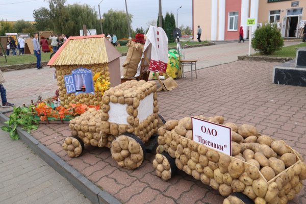 Сказочная картошка