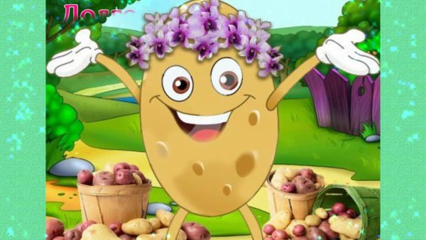 С днем картошки