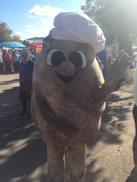 День картофеля