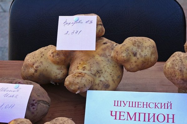 День молодой картошки