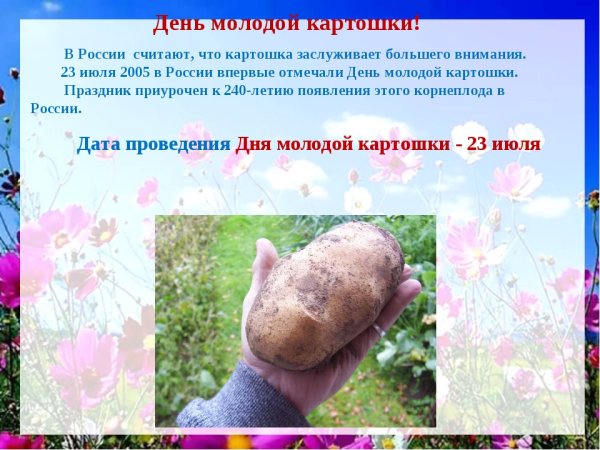 День картошки в России