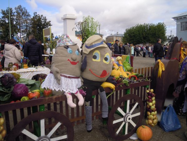 Фестиваль картошки в Лотошино