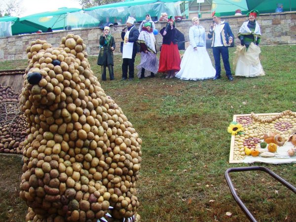 С днем картошки