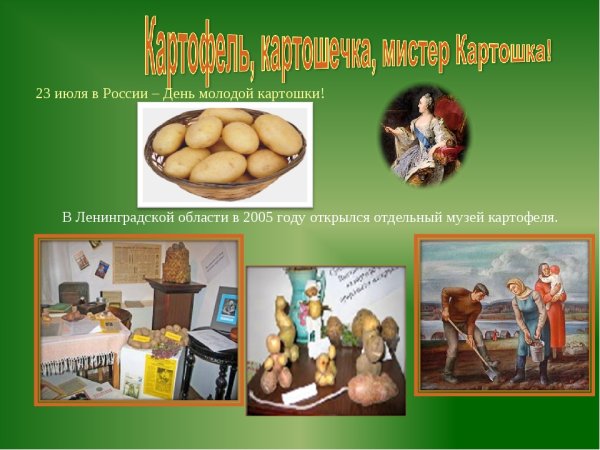Праздник картошки Бабынино