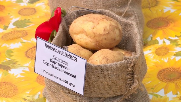 Ах картошка