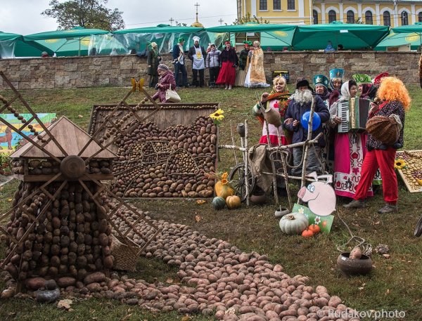 Плакат картошка