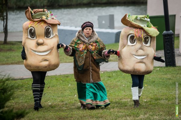 Праздник картошки