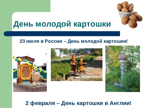 С днем картошки