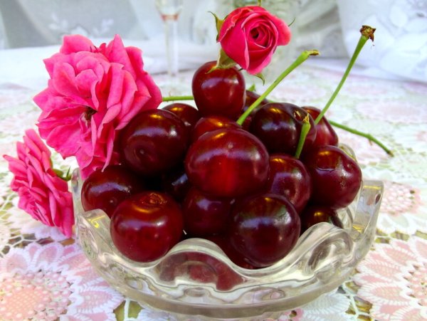 Черешня угощайся