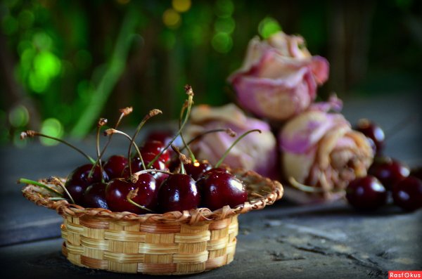 День черешни