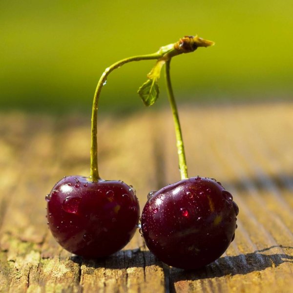 Сочная вишня