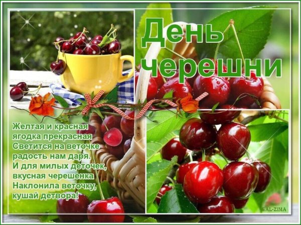 Вишня и черешня