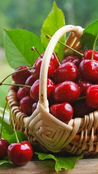 Черешня во сне