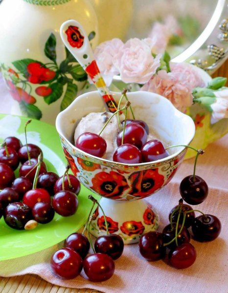 Вишня плодородная Мичурина