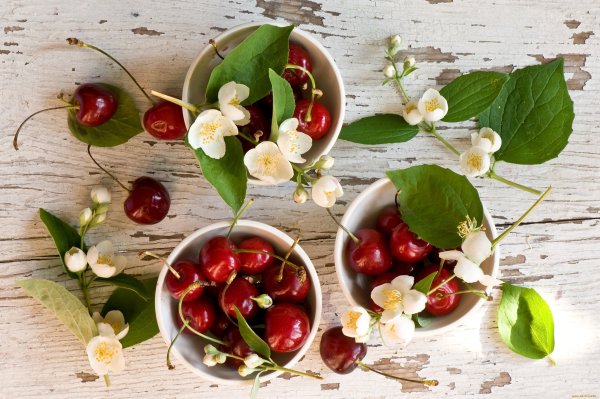 Черешня Багратион