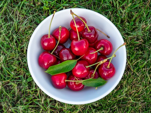 Черешня на столе